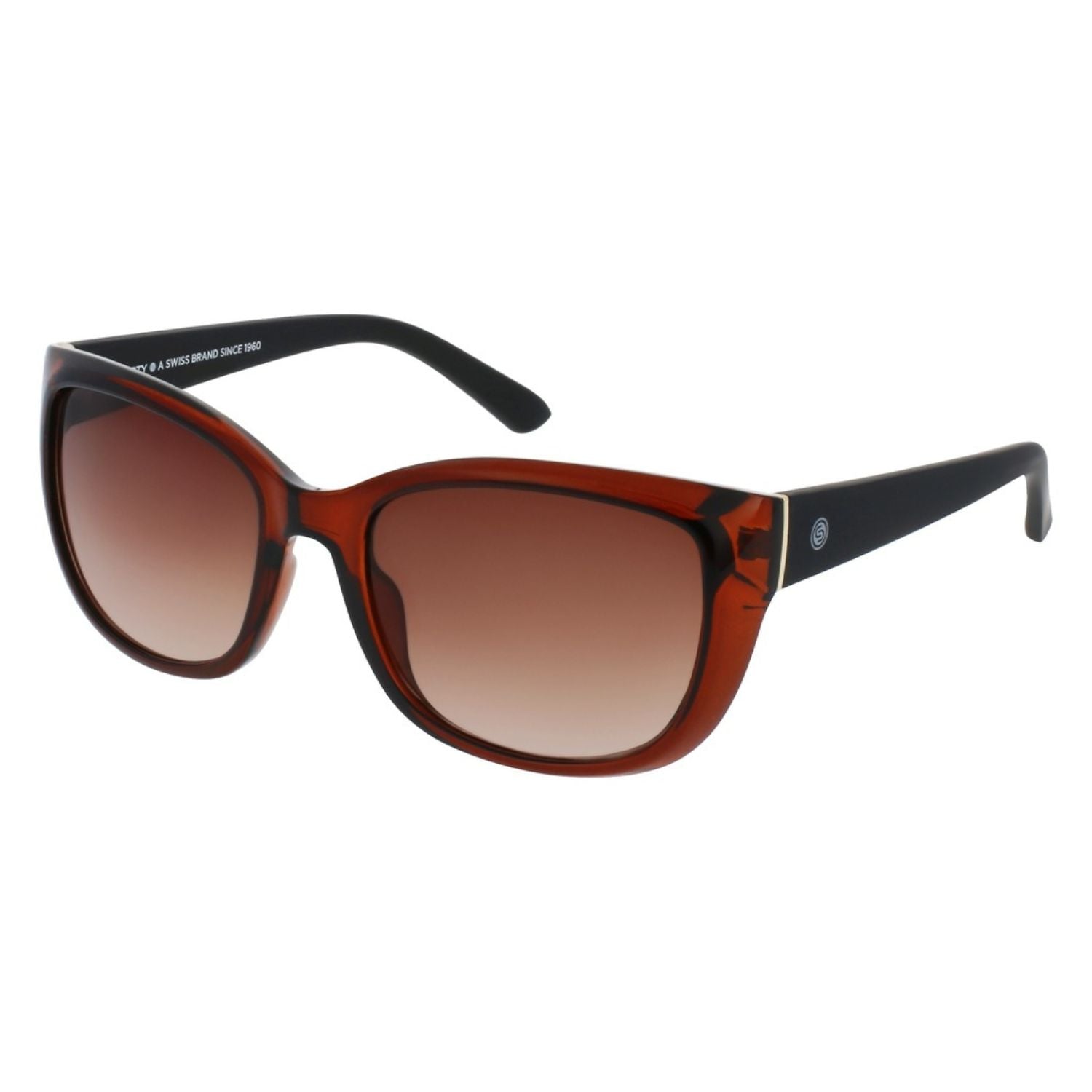 Lente de sol SMARTY  SB22410 Transp. Brown/Matt Black
