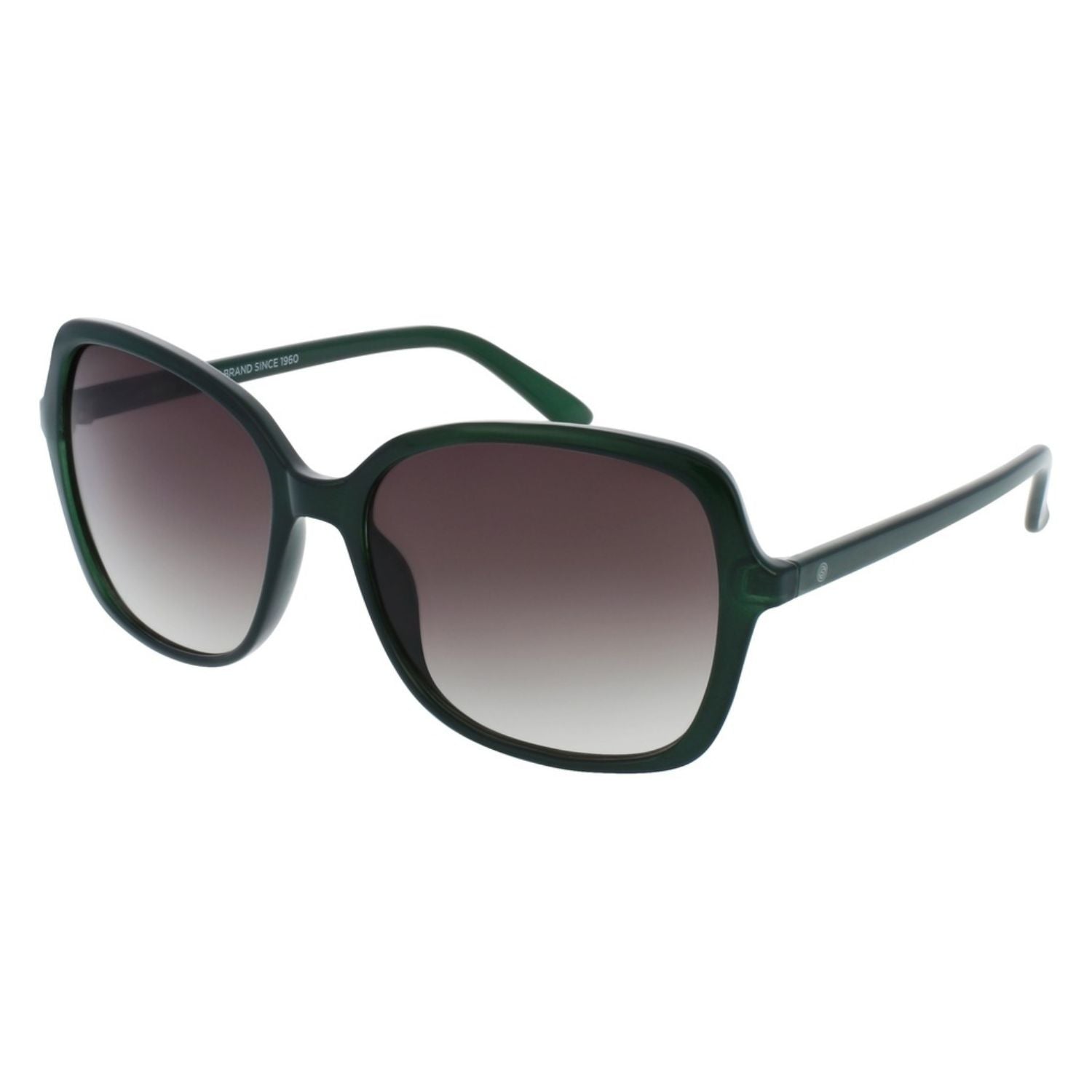 Lente de sol SMARTY  SB22400