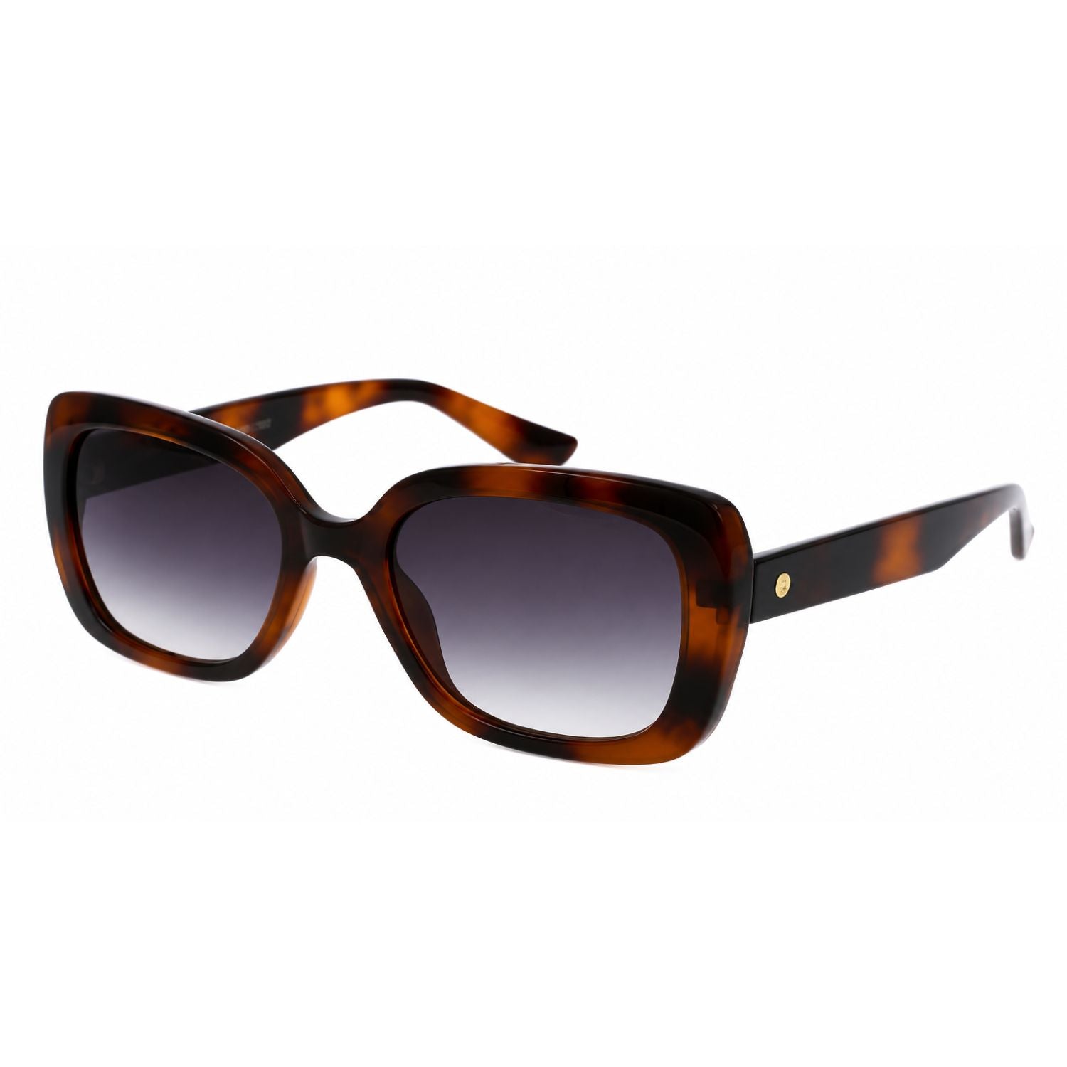 Lente de sol SMARTY  SB22401 Demi