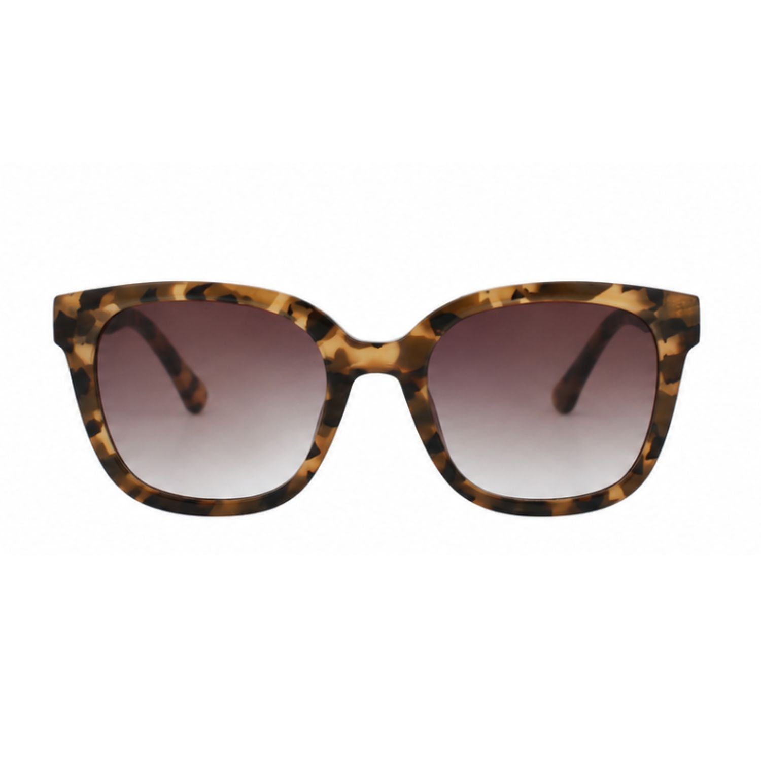 Lente de sol SMARTY  SB22419