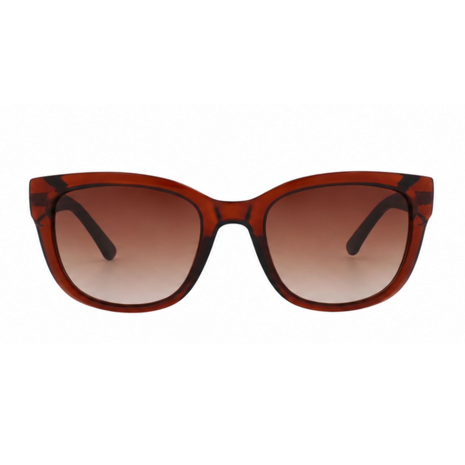 Lente de sol SMARTY  SB22410 Transp. Brown/Matt Black