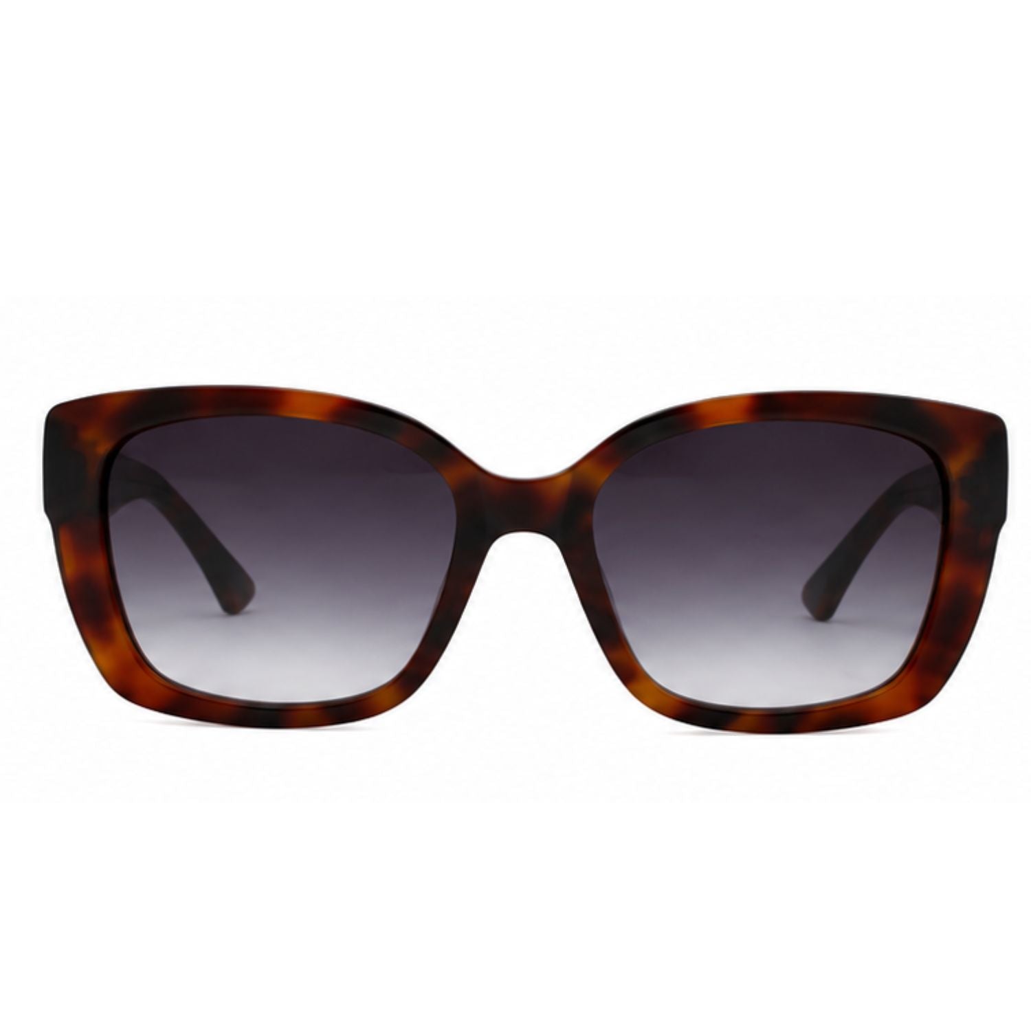 Lente de sol SMARTY  SB22401 Demi