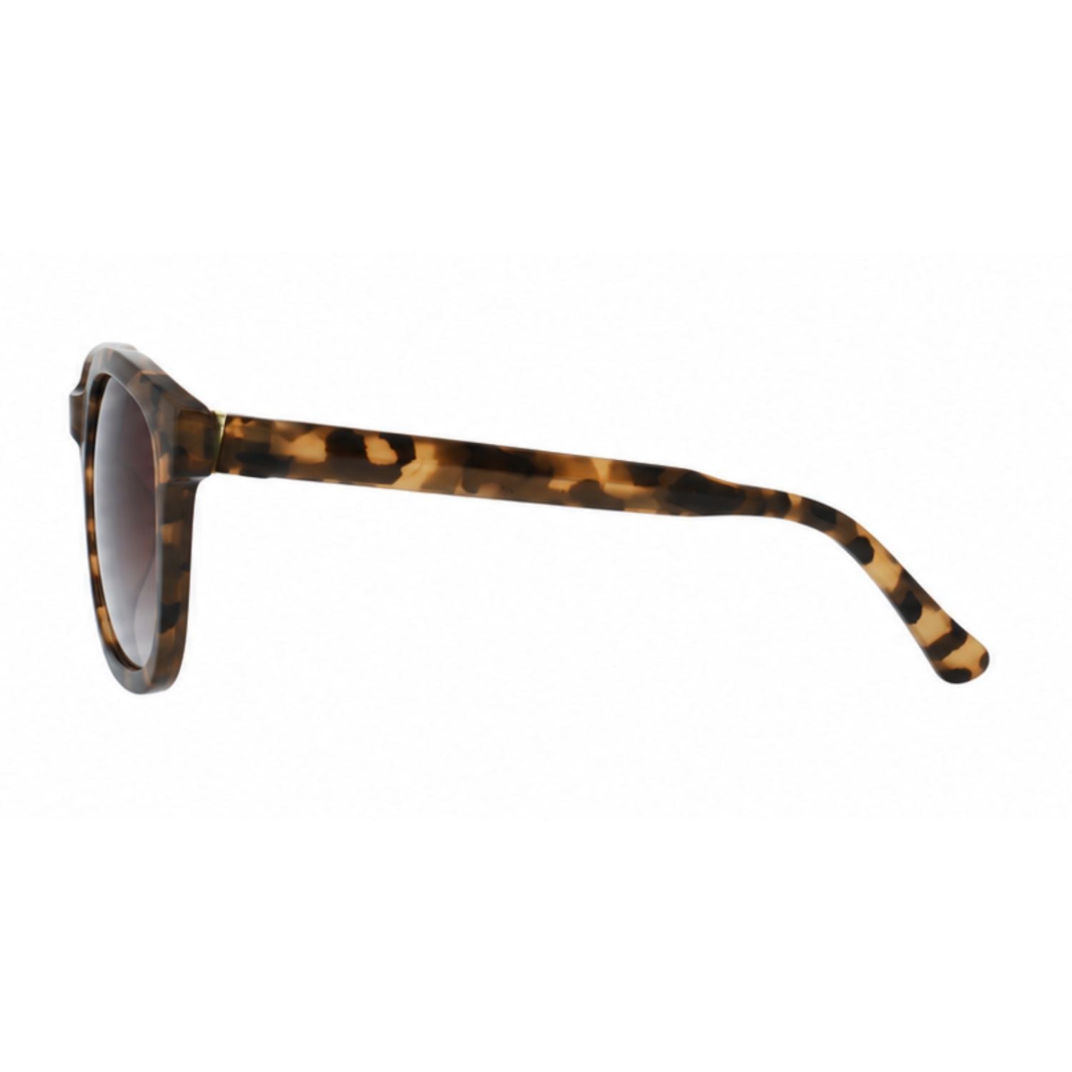 Lente de sol SMARTY  SB22419
