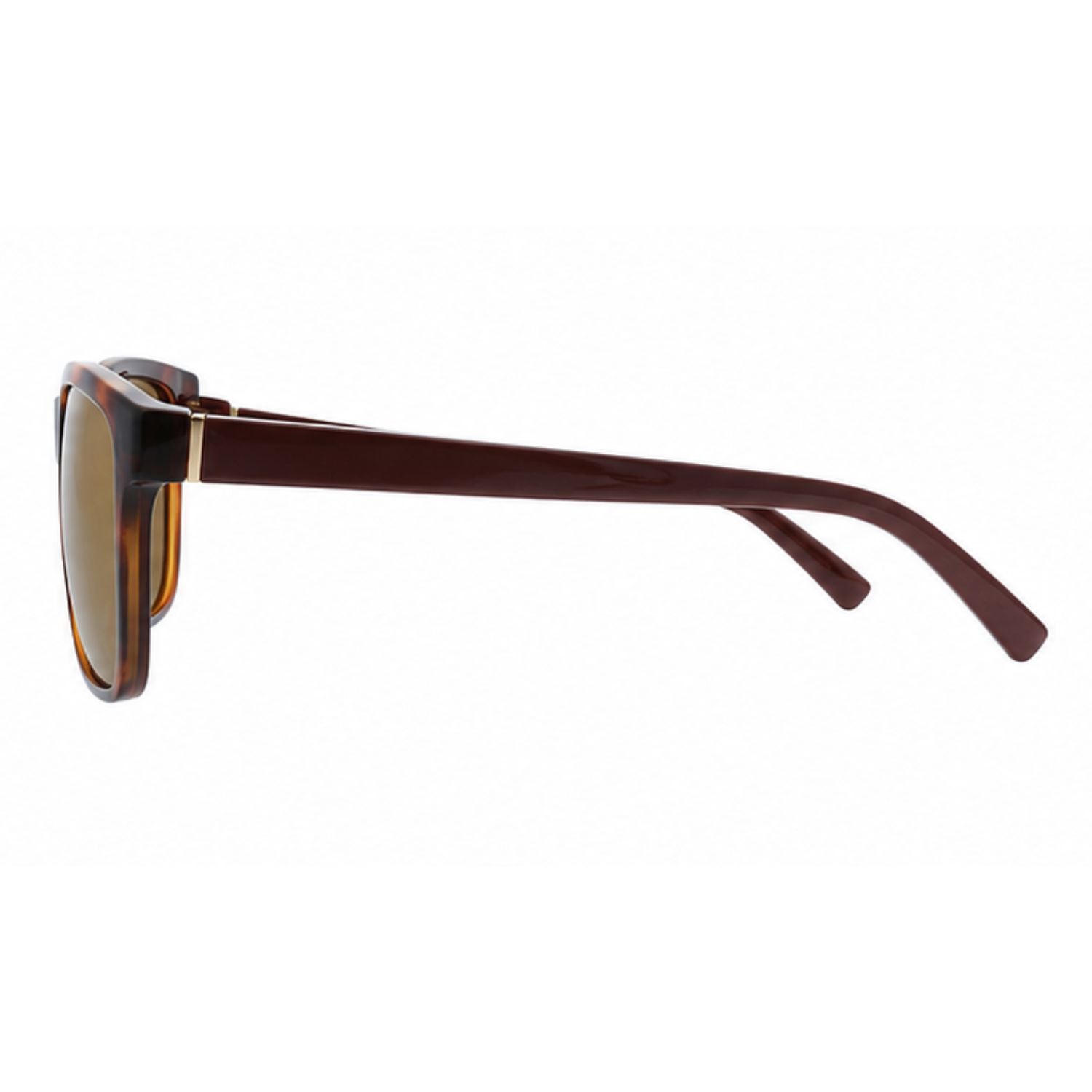 Lente de sol SMARTY  SB2315