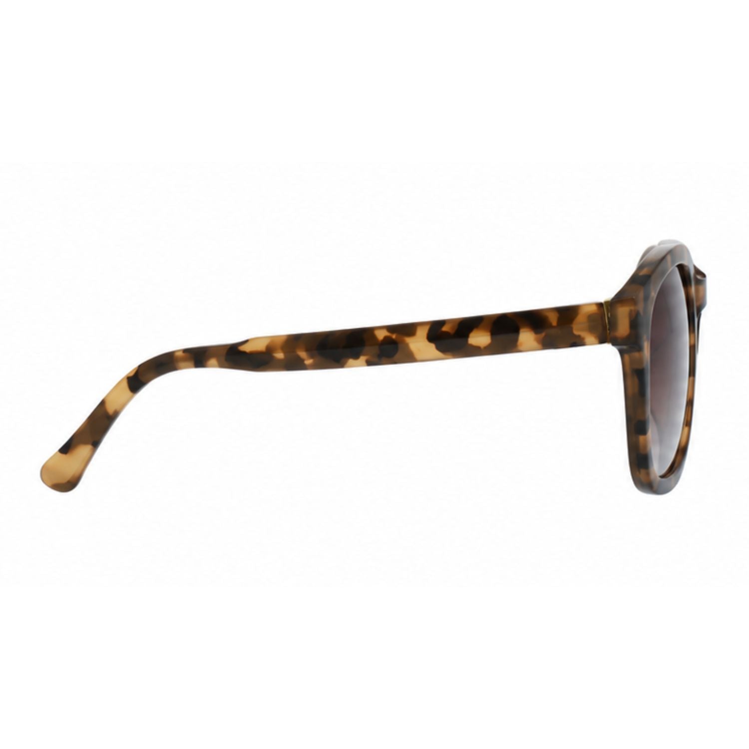 Lente de sol SMARTY  SB22419